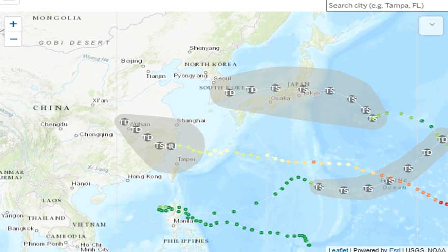 Shanghai cancels 1,300 flights as Typhoon Dolphin hits China's eastern coast