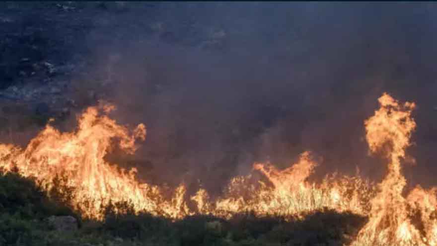Western Europe experienced hottest June-July on record: EU monitor