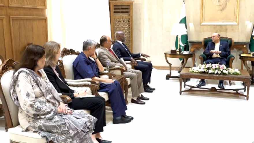 President Zardari calls for strengthening Pakistan-UN partnership