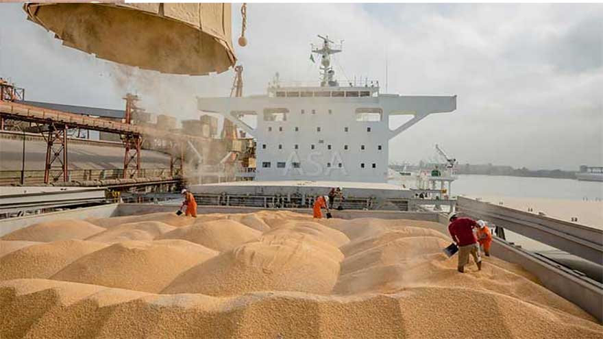 Govt maintains decision to import 1 million tons of wheat to meet national needs