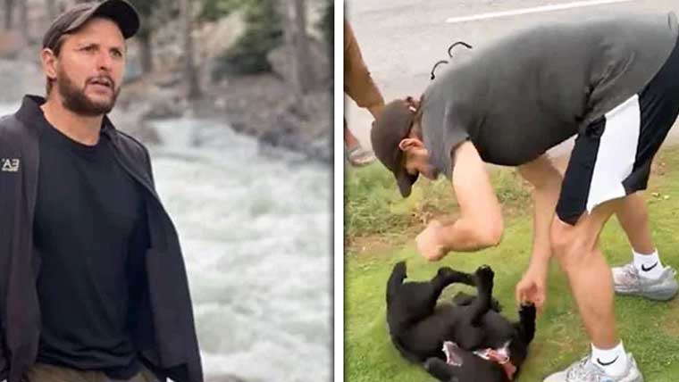 شاہد آفریدی کا لاپتہ ہونے والا پالتو کتا مل گیا،  