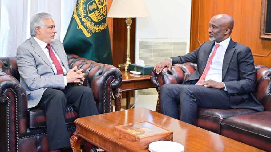 Dar appreciates outgoing UN coordinator's role in strengthening Pakistan-UN ties