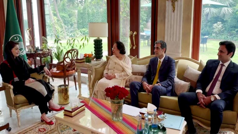 مریم نواز سے آئی پی پی کے ایم این ایز کی ملاقات، سیاسی امور پر تبادلہ خیال