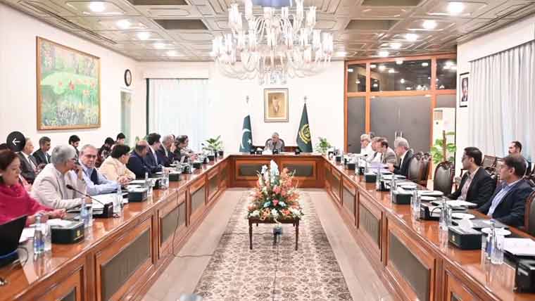 کابینہ کمیٹی اجلاس: ڈسکوز فیسکو، گیپکو اور آئیسکو کی تنظیم نو کے منصوبے کی منظوری