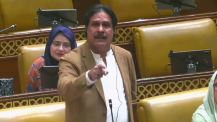 حکومتی رکن احسن رضا غیر اعلانیہ لوڈشیڈنگ پر پھٹ پڑے