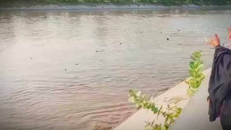 کوٹ ڈیجی میرواہ نہر میں رکشہ گرنے سے چار افراد ڈوب گئے، دو لاشیں برآمد