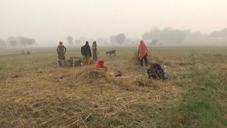 کمالیہ یونیورسٹی میں زرعی فضلے سے توانائی بنانے کے منصوبے کا آغاز
