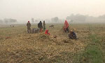 کمالیہ یونیورسٹی میں زرعی فضلے سے توانائی بنانے کے منصوبے کا آغاز