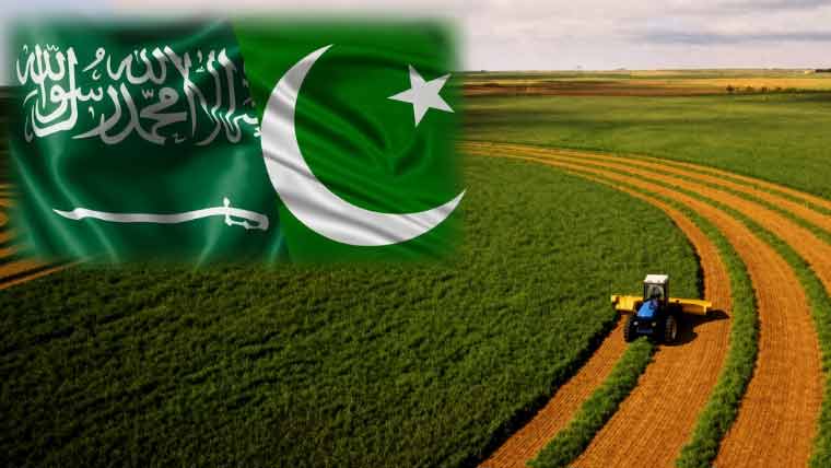 پاکستان، سعودی عرب کا زرعی و غذائی برآمدات 3 ارب ڈالر تک بڑھانے کا عزم