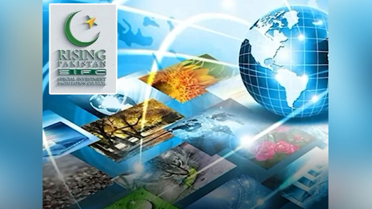 پاکستان کی جانب سے ورچوئل انویسٹر روڈ شو کا انعقاد