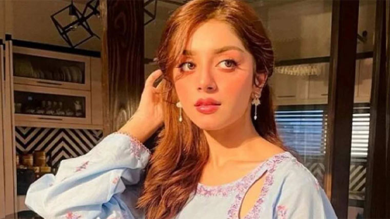 علیزہ شاہ کی تنازعات کو ہائی لائٹ کر کے توجہ حاصل کرنے کے الزام کی تردید