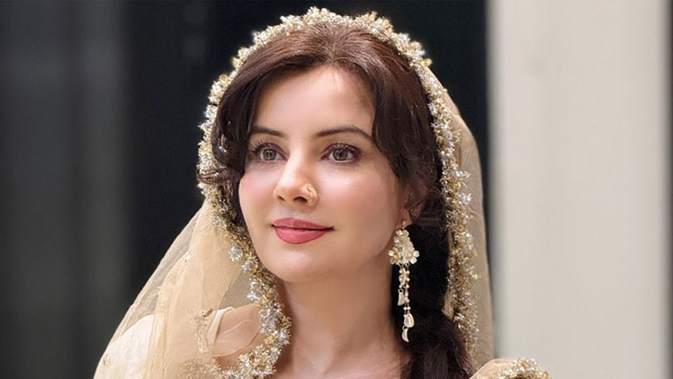 ڈیفنس میں گلوکارہ رابی پیرزادہ کو ہراساں کرنے کا واقعہ، ملزم گرفتار