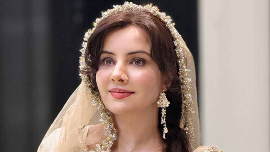 Singer Rabi Pirzada harassed in Karachi's Defence, suspect arrested