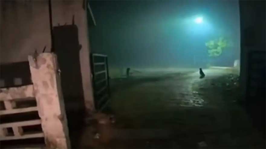 Why 'food delivery graveyard video' trending on Google