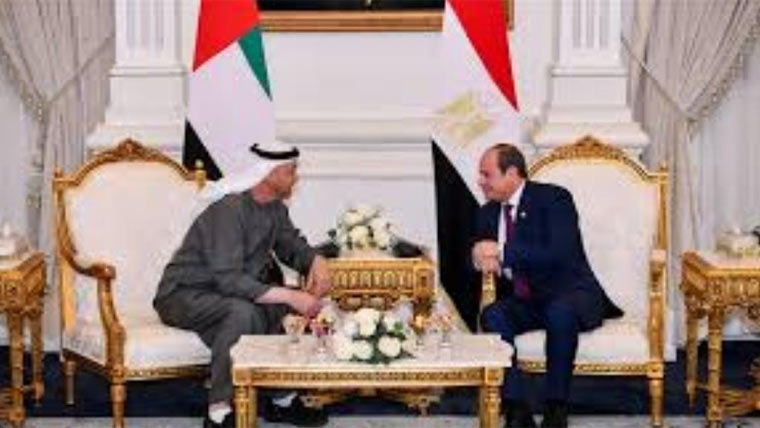 یو اے ای اور مصر کے صدور کی ملاقات، دوطرفہ تعلقات پر تبادلہ خیال