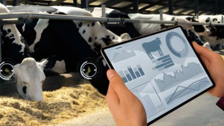 پاکستان اور چین کی زرعی و لائیوسٹاک شعبہ میں تاریخی شراکت داری