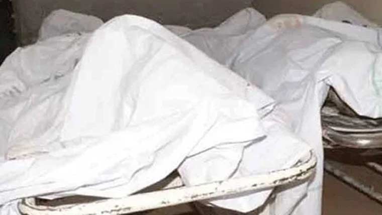 بہاولنگر: لکڑیوں سے لدی ٹریکٹر ٹرالی الٹنے سے 3 مزدور جاں بحق