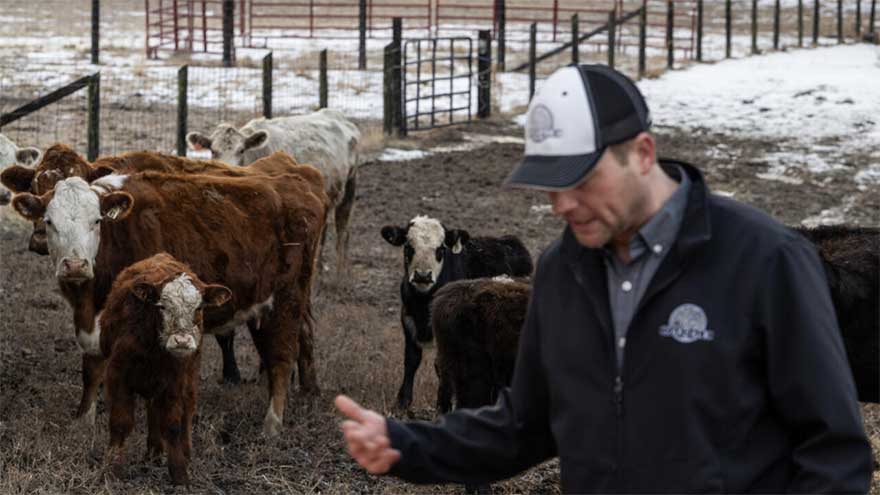 US cattle farmers caught between high costs and weary consumers