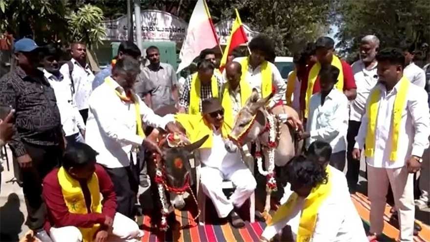 Donkeys tie the knot in India on Valentine's Day
