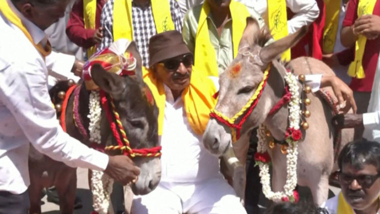 ویلنٹائن ڈے پر گدھوں کی شادی کروانے کا انوکھا واقعہ