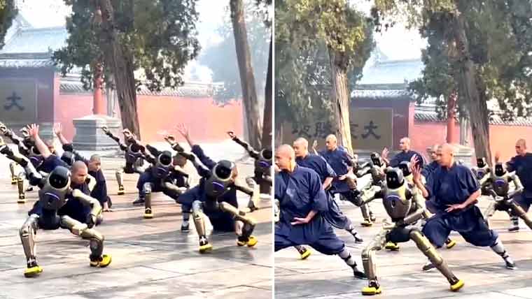 مارشل آرٹس کے ماہر روبوٹس کی ویڈیو سوشل میڈیا پر وائرل