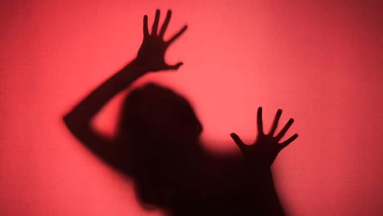 سرگودھا: گھریلو ملازمہ سے مبینہ زیادتی، ملزم گرفتار