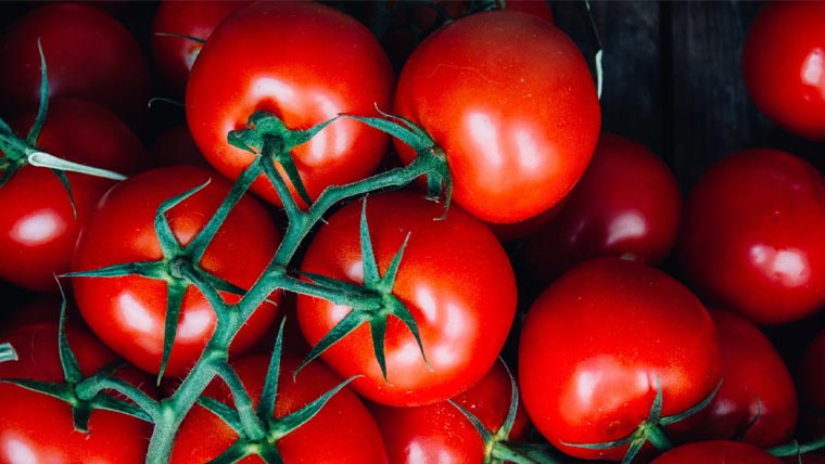 چین میں جین ایڈیٹنگ ٹیکنالوجی سے پاپ کارن کی مہک والا ٹماٹر تیار