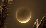 رواں سال کا پہلا مکمل چاند گرہن کب ہوگا؟ محکمہ موسمیات نے بتا دیا