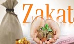 ادائیگی زکوٰۃ: فرائض، شرائط اور اہم فقہی نکات