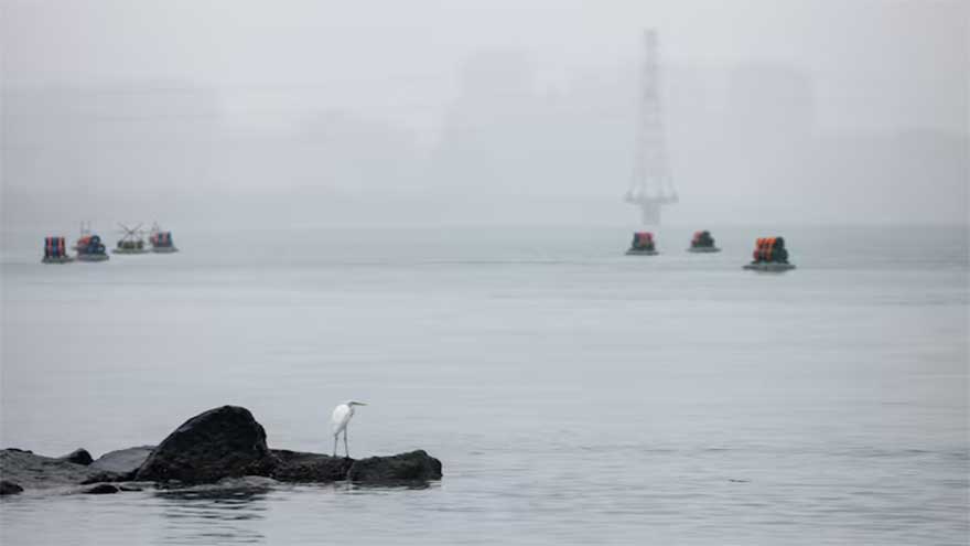 Dunya News US strike on Venezuela to embolden China's territorial claims, Taiwan attack unlikely, analysts say