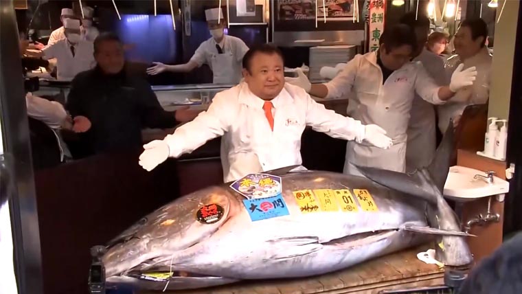 نایاب مچھلی 3 کروڑ 24 لاکھ ڈالر کی ریکارڈ قیمت میں فروخت