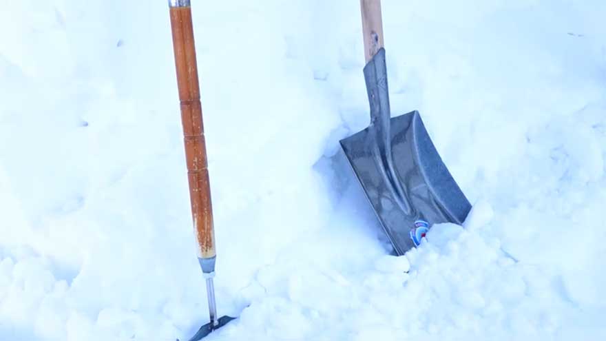 Octopus, Taj Mahal concepts inspire sculptors at China snow festival