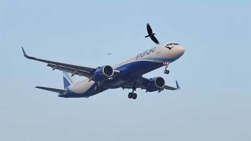 India seeks fare data from airlines as part of IndiGo antitrust scrutiny