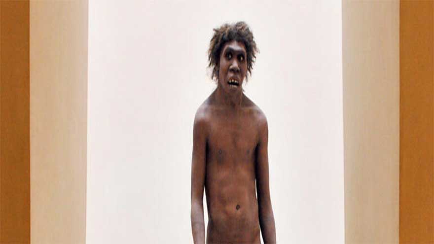 Dunya News Fossils discovered in Morocco shed light on our African roots