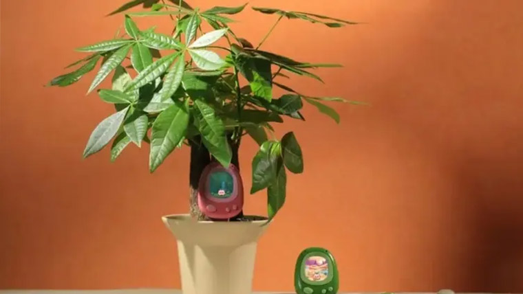 پودوں کی دیکھ بھال کو گیم میں بدل دینے والا اے آئی سمارٹ سینسر تیار