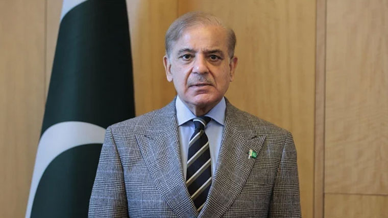 ڈیجیٹل معیشت میں اماراتی سرمایہ کاروں کی دلچسپی کا خیر مقدم کرتے ہیں: شہباز شریف