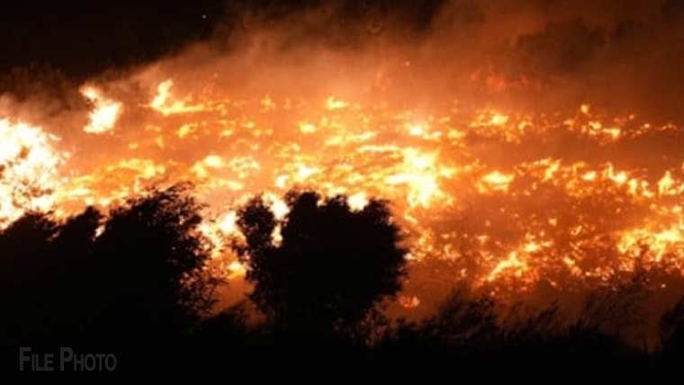 ایبٹ آباد: ٹھنڈیانی کے جنگلات میں آگ بھڑک اٹھی، ریسکیو آپریشن جاری