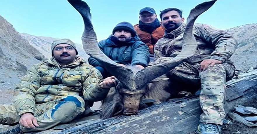 US trophy hunter hunts rare Markhor in Chitral