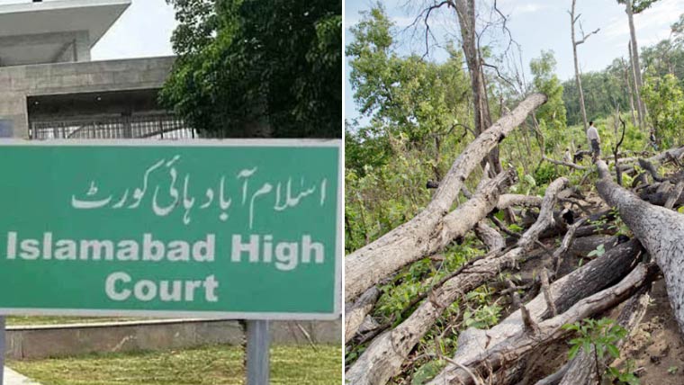 اسلام آباد ہائی کورٹ نے سی ڈی اے کو درختوں کی کٹائی سے روک دیا