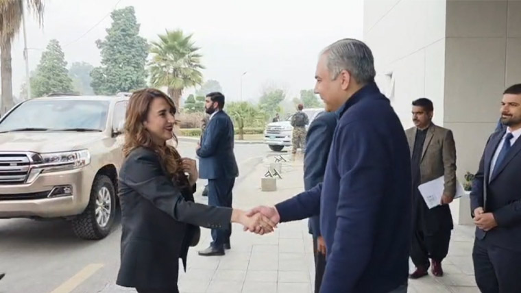 محسن نقوی کی امریکی سفیر سے ملاقات، سکیورٹی تعاون بڑھانے پر اتفاق