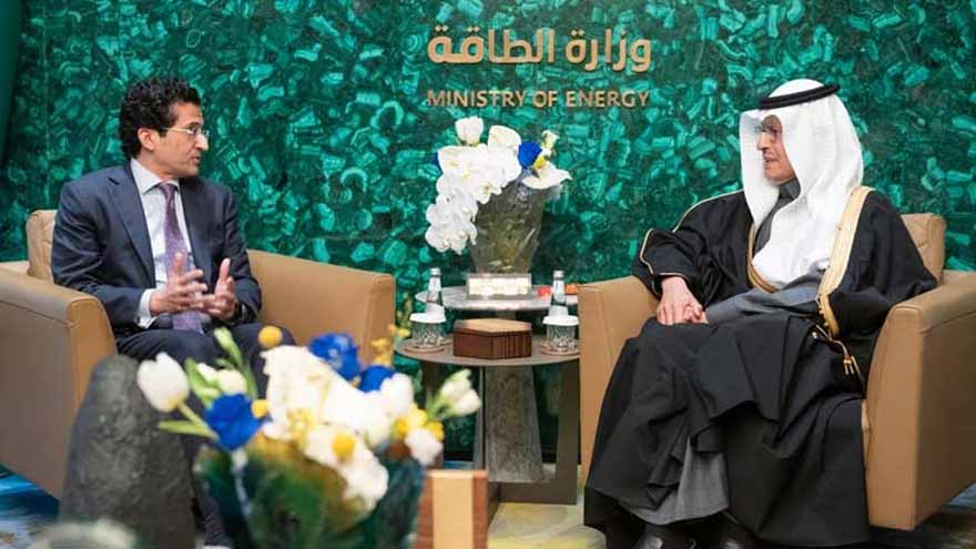 Pakistan possesses diverse mineral potential: Ali Pervaiz Malik