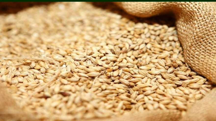 Delay in Govt wheat supply raises fears of flour price hike