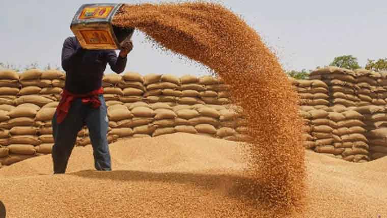 شکار پور میں سرکاری گندم کی فروخت کا بڑا سکینڈل سامنے آ گیا