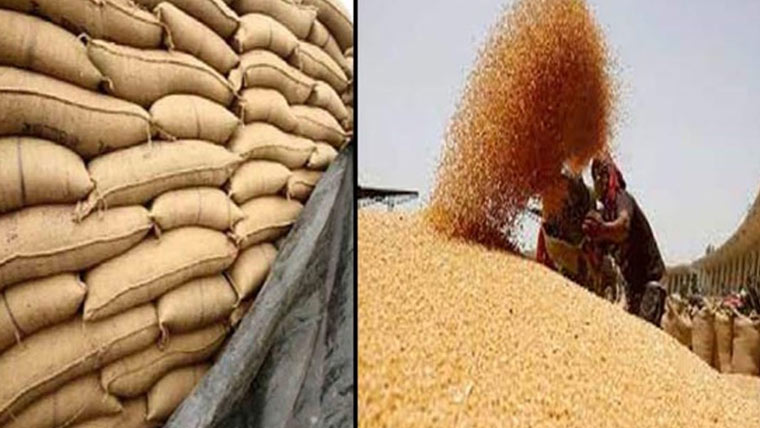 پنجاب کی گندم پالیسی 2026ء کا اعلان، فی من قیمت 3500 روپے مقرر