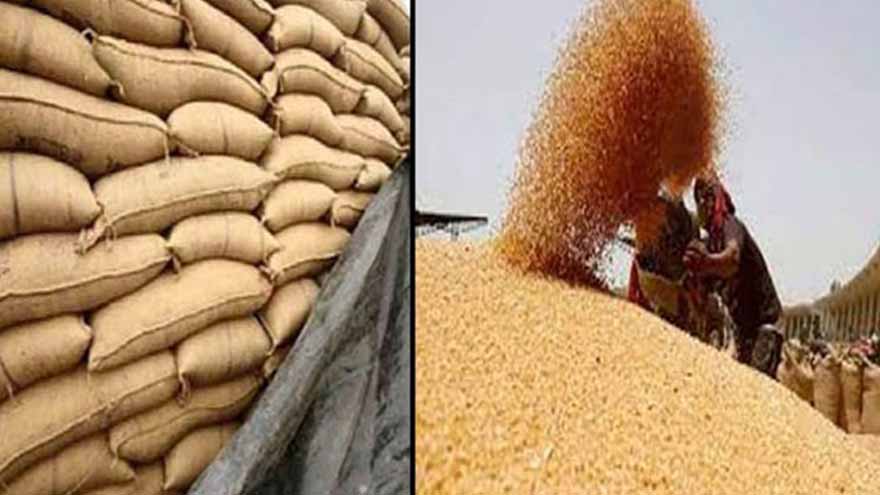 Punjab announces Wheat Policy 2026 with Rs3,500 per maund