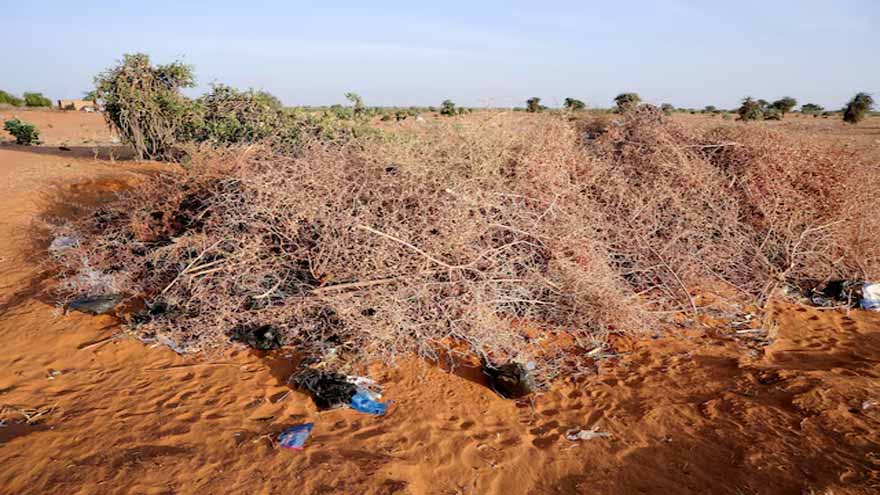 Drone attacks shock city in central Sudan as war inches closer