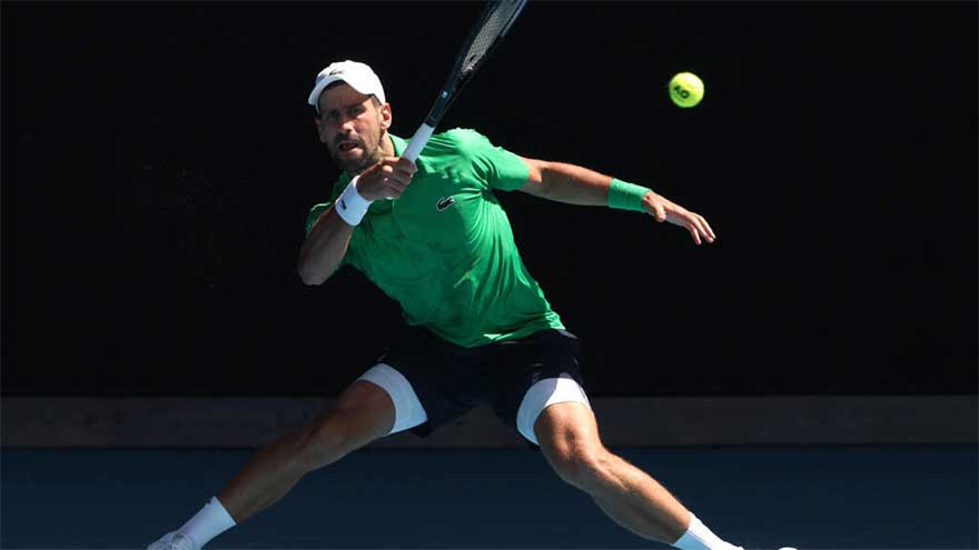 Djokovic eases into Melbourne third round - with help from a tree