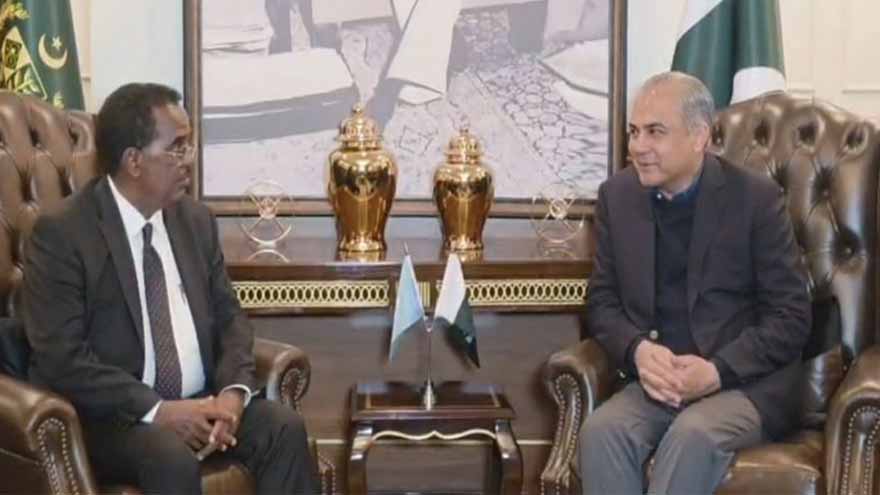 Pakistan, Somalia agree on joint strategy against terrorism