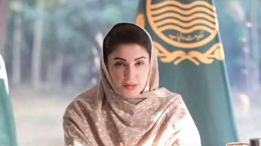 Basant 2026 in Lahore: Kite rules, bans and safety measures announced by Punjab CM