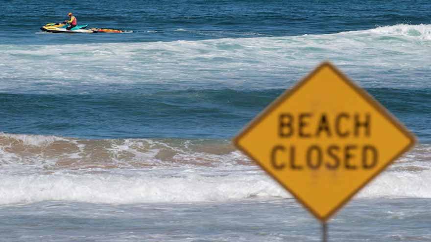 Australian boy dies after shark attack in Sydney Harbour